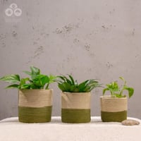 مركن بوهيمي بيج مع اخضر