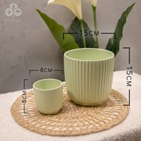 مركن لونا اخضر فاتح