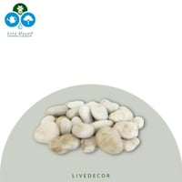 حجر ابيض وزن كيس 10 كج