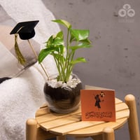 نبتة البوتس بفازة مع قبعة تخرج صغيرة