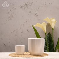 مركن لونا أبيض