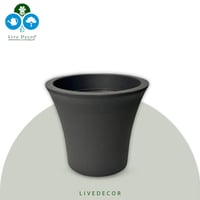 مركن سيتي بلاستونا