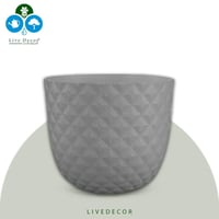 مركن تروبيكل برتغالي