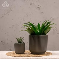 مركن لونا رمادي