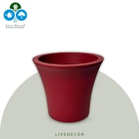 مركن سيتي بلاستونا