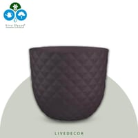 مركن تروبيكل برتغالي