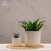 مركن لونا أبيض