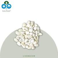 بحص حجري طبيعي أبيض 10 كج