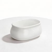 سكرية / كرتون 96 حبة