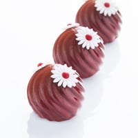 قالب سيلكون 17.6×29.7 سم ايطالي 30SIL506