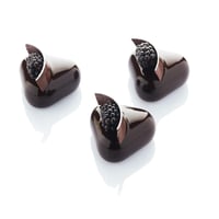 قالب سيلكون 17.6×29.7 سم ايطالي 30SIL507