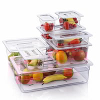 حوض بلاستك شفاف 1/1 53x32.5 سم