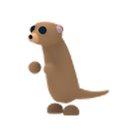 MEERKAT - ماب ادوبت مي