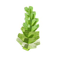 بذرة الرومانسكو ماب المزرعه - Romanesco Seed Grow...