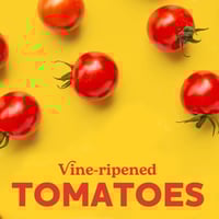 صلصة باستا راجو ستة أجبان 680 جم – Old World Style