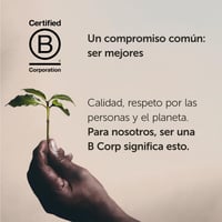 قهوة ايلي حبوب محمص برازيلي 250 جم