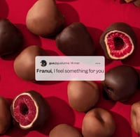 فرانوي ايسكريم توت بالشوكولاتة الداكنة 150 جم