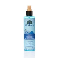 ماء ورد النيله المغربيه