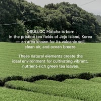 اوسولوك ماتشا الجزيرة البركانية بريميوم 40 جم Osul...