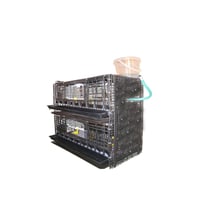 حاضنة فروخ بلاستيك دورين