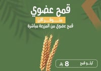 قمح عضوي 1 كيلو