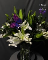 فازة الكازا