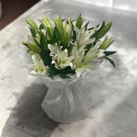 باقة الكازا الطبيعي