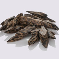 عود كمبودي طبيعي محسن تايجر