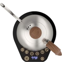 إبريق برويستا أرتيسان فضي Brewista - 1L