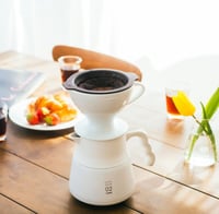 W60 قمع ترشيح هاريو