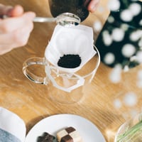 اظرف فلاتر من هاريو