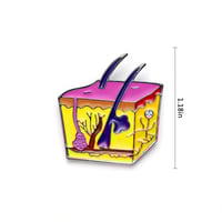 دبوس صورة مقطعية للجلد