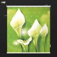 ستائر رول صوره 3D