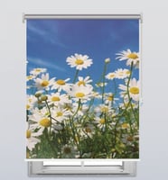 ستائر رول صوره 3D