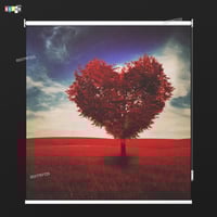 ستائر رول صوره 3D