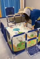 حباسه اطفال مع الكور