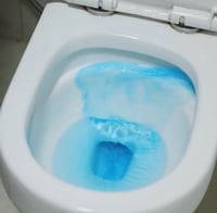 مطهر السيفون