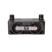 سمارت بيري مكبر صوت كاريوكي مع ميكروفون