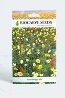 بذور زهور الديدحان الآيسلندي المنوع