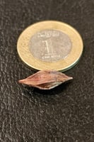 بصيلة أقصليس (حنين)