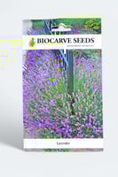 بذور زهور اللافندر (خزامى)