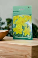 أبصال نرجس (الحلاوة)