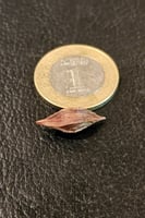 بصيلة أقصليس (أميرة)