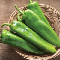 بذور فلفل (اناهايم)