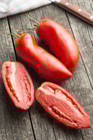 بذور طماطم (سان مارزانو)