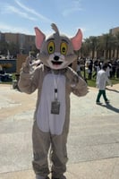 ملابس تنكرية شخصية جيري