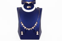 طقم تصميم فانكليف & اربلز بلمسة الماسية عيار 21