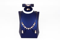 طقم تصميم فانكليف & اربلز بلمسة الماسية عيار 21