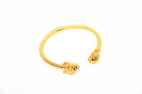 سوارة التايقر عيار 21