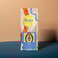 Vista فيستا - السلفادور 1000 G